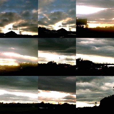 collage44.jpg