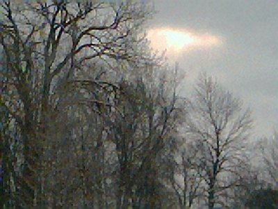 Photo016.jpg