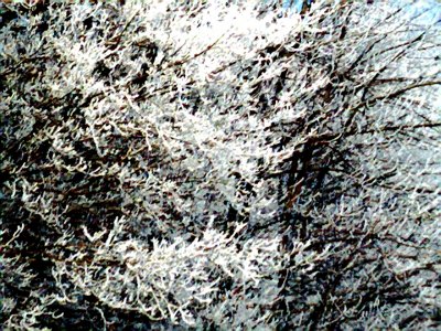Photo001.jpg