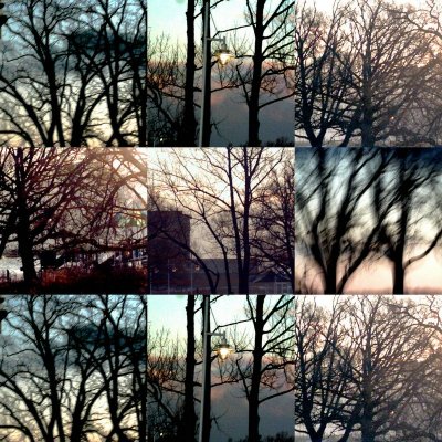 collage55.jpg