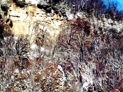 1030.jpg