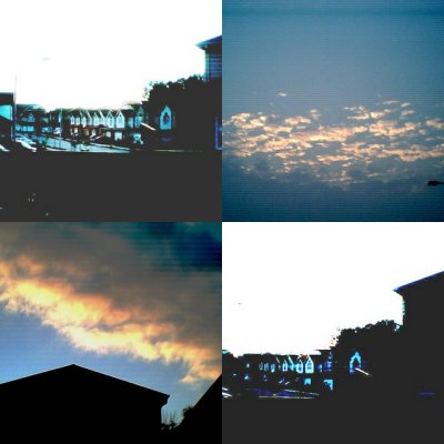 collage63.jpg