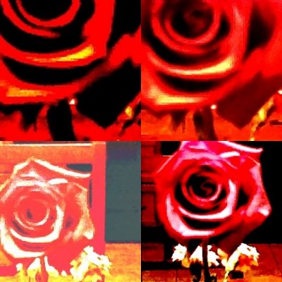 collage76.jpg