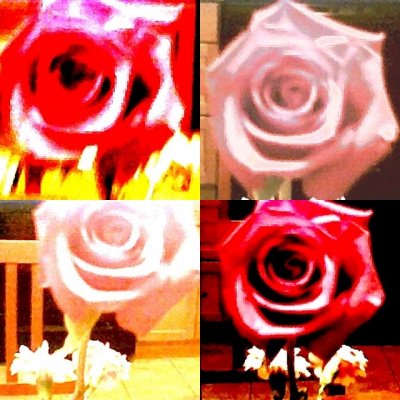 collage78.jpg