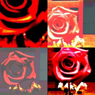 collage79.jpg