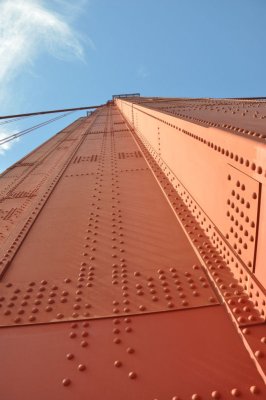 More Rivets