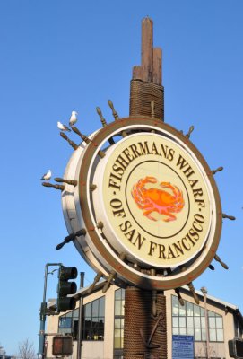 DSC_0183.jpg