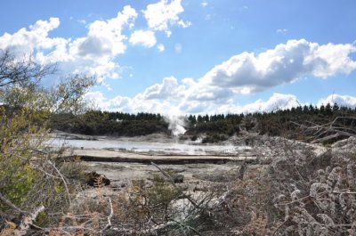 Hells Gate & Wai Ora Spa Near Roturua