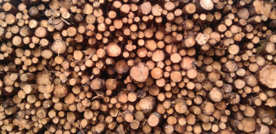 Logs