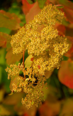 ESC_3025t_6t_7t_tonemapped2r2j