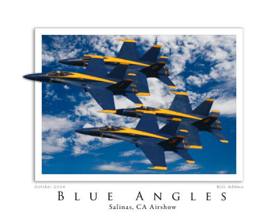 Blue Angles POP W600 JPG.jpg