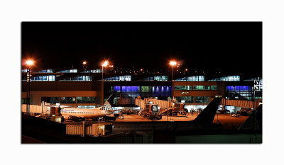 Terminal