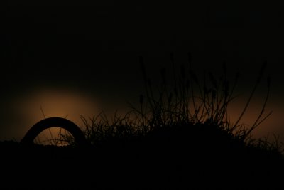 tunels of Light