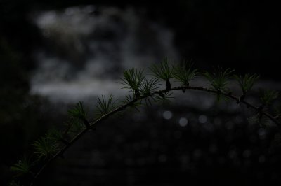 g4/01/826401/3/135167771.DKymETpM.jpg