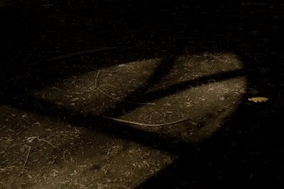 Shadows