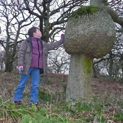 Giant mushroom discovered in Durham