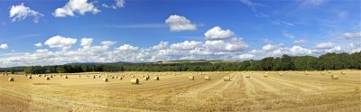 Harvest time near Durris