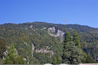 g4/01/887801/3/138530872.XPj7Jvvq.jpg