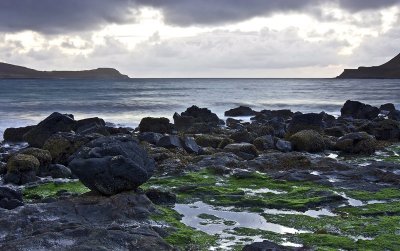 Rocks, Moss and Sea