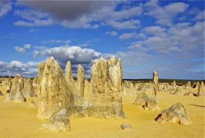Large Pinnacles