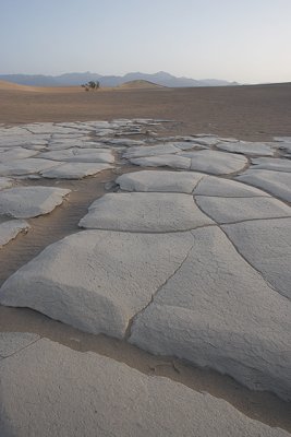 Desert Tiles