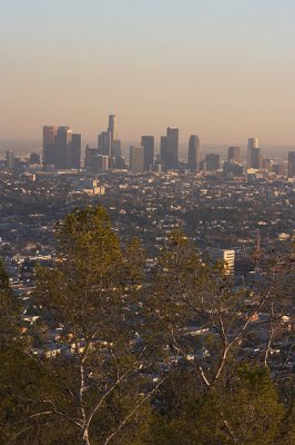 Downtown View