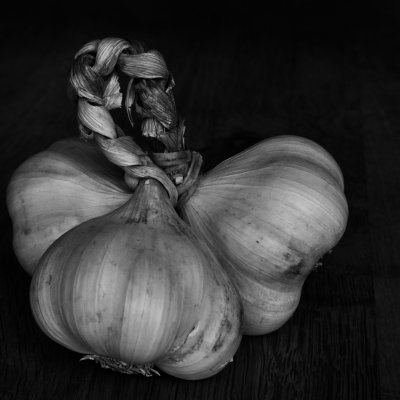 The garlic trio