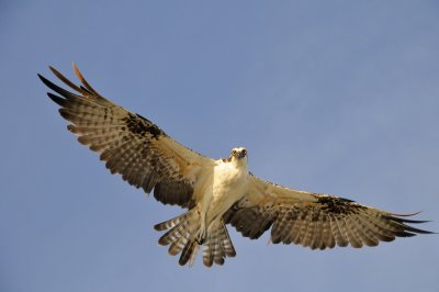 g4/01/943001/3/136623205.y9S5EgYX.jpg