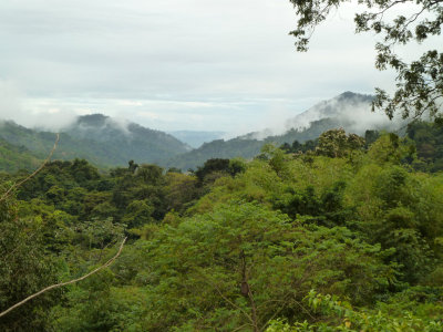 Asa Wright Nature Center
