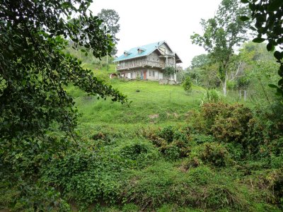 Cuffie River home