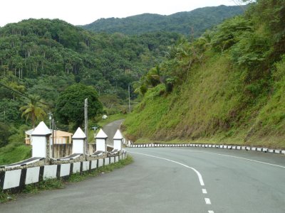 Tobago Northside Road
