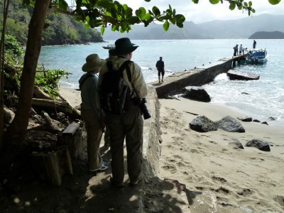 Little Tobago Pier