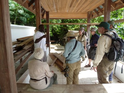 Little Tobago Bird Guide and Brits