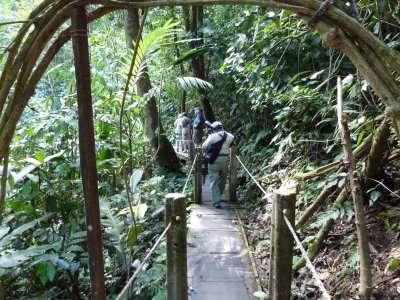 aCanopyAdventureP1040723.jpg