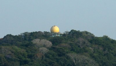 aaCanopyTower1066.2012.0320.jpg