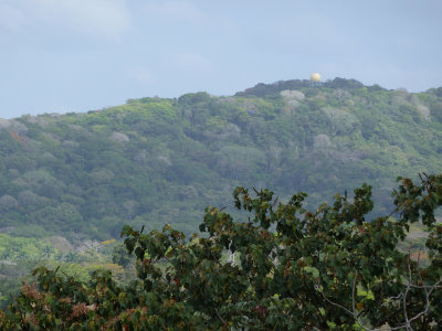 Canopy Tower from Radisson Summit Hotel