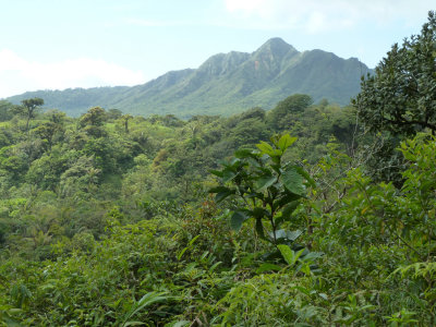 Panama highlands