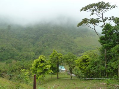 Panama foothills