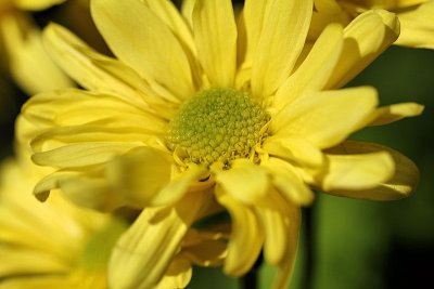 pbase04 - 1 ft-  f4 - 20110423_98.jpg