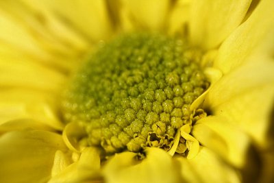 pbase09 - f4 - 20110423_87.jpg