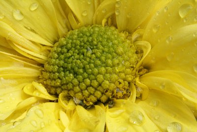 pbase02 F32 - 20110424_16.jpg