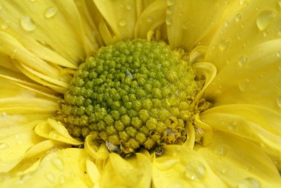 pbase03 F14 - 20110424_14.jpg