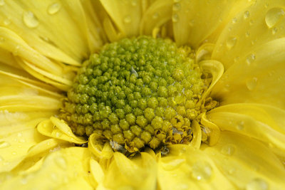 pbase04 F9 - 20110424_13.jpg