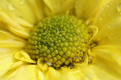 pbase06 F4 - 20110424_11.jpg