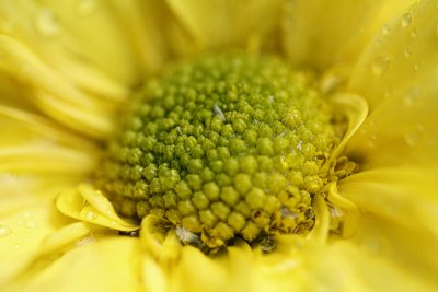 pbase07 F2.8 - 20110424_10.jpg