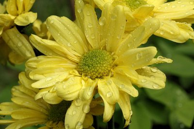pbase10 F16 - 20110424_7.jpg