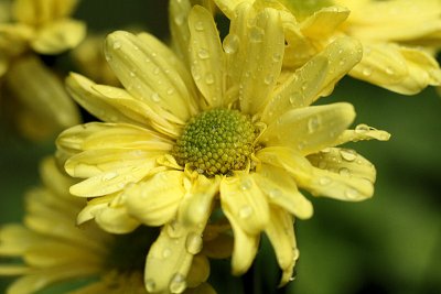 pbase14 F4 - 20110424_3.jpg