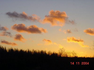 81.jpg