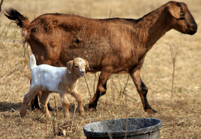 Mom and Son