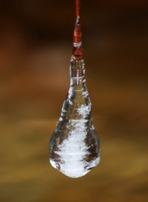 Ice Forms